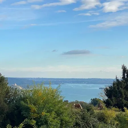 La Garçonniérre Del Maggiore Appartement